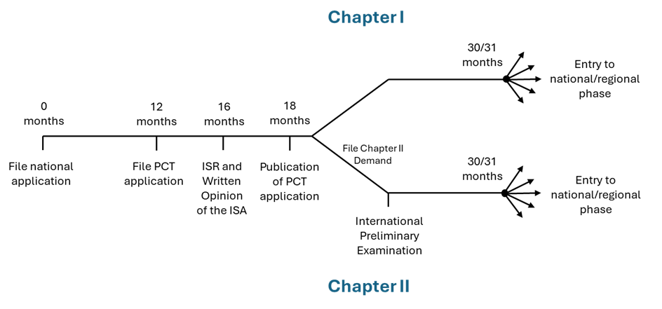 key features of the Chapter I and Chapter II international phase options